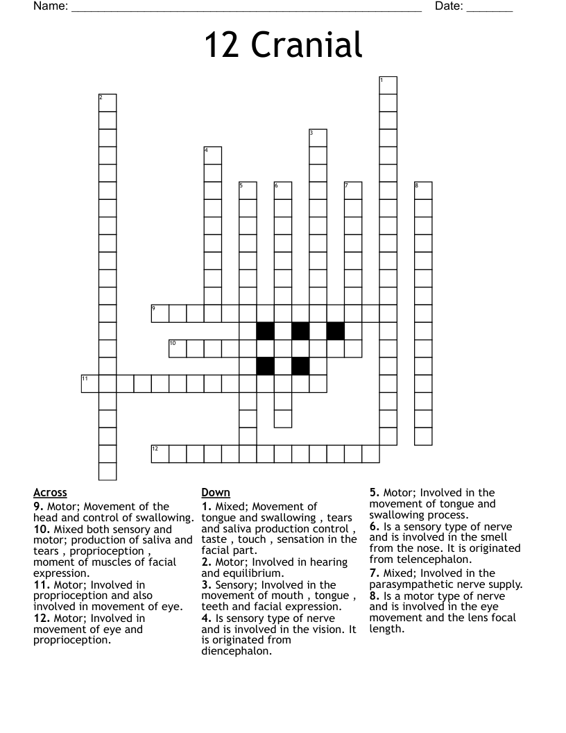 12 Cranial  Crossword