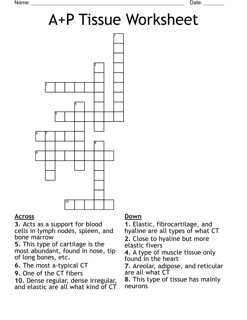A+P Tissue Worksheet Crossword