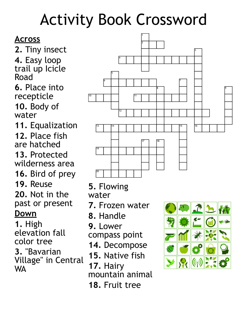 Activity Book Crossword