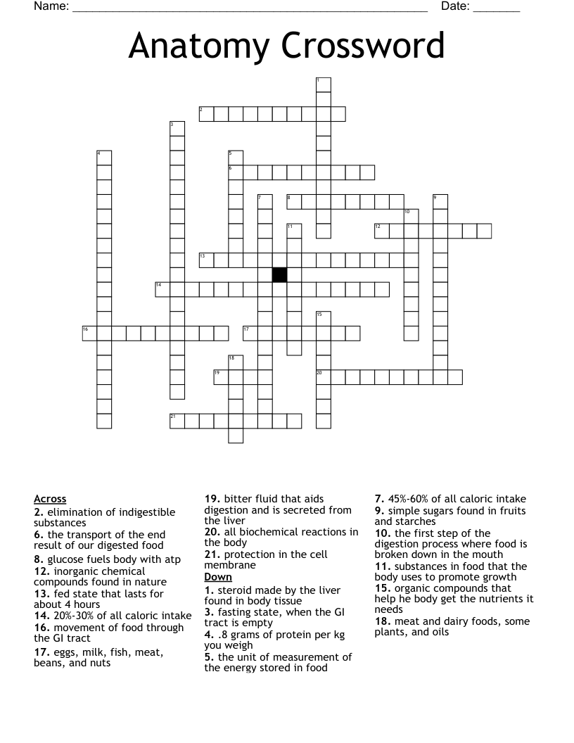 Anatomy Crossword