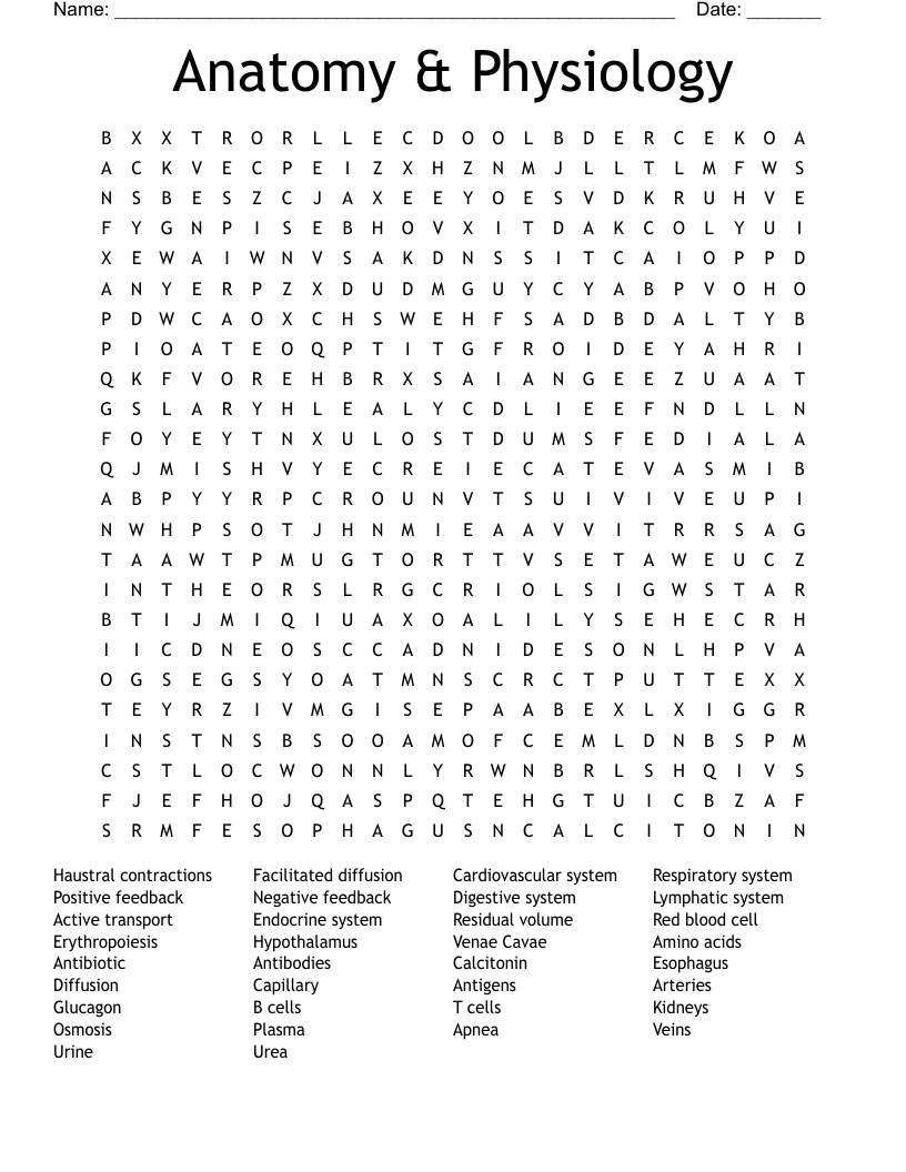 Anatomy & Physiology Word Search