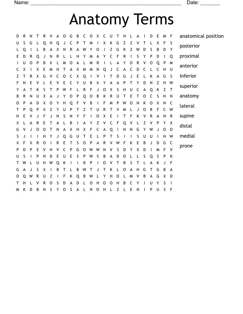 Anatomy Terms