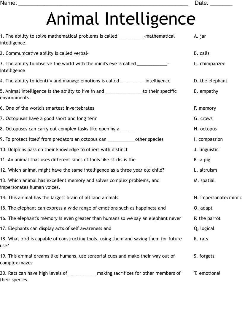 Animal Intelligence Worksheet