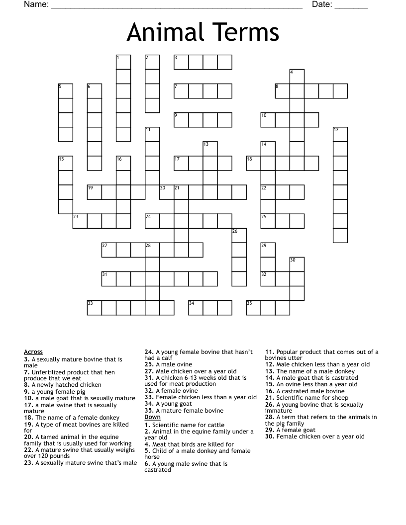 Animal Terms Crossword