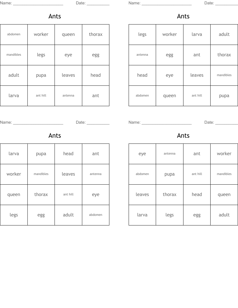Ants Bingo Cards