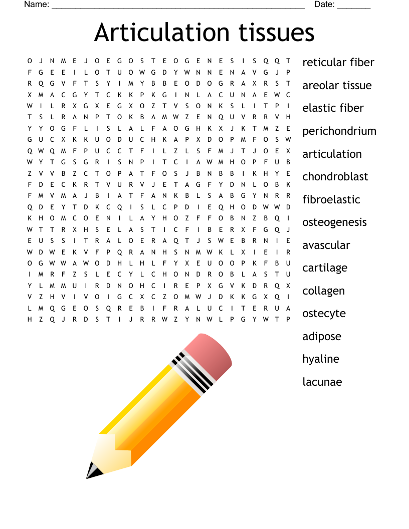 Articulation tissues Word Search