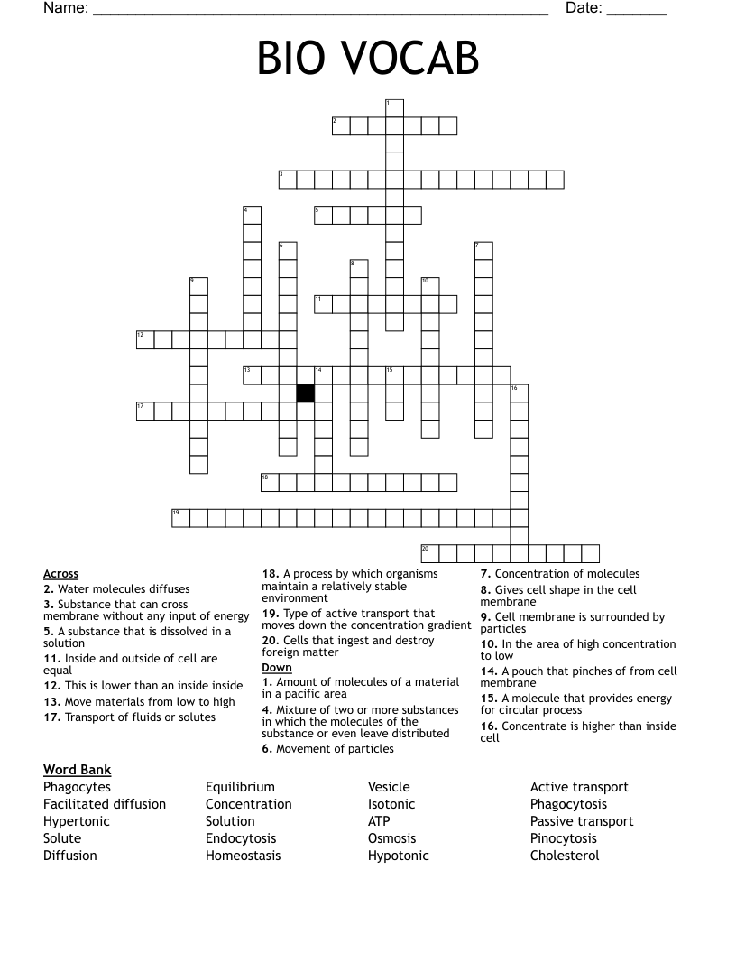 BIO VOCAB  Crossword