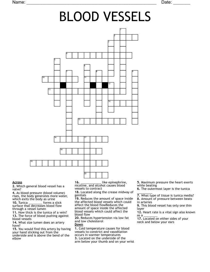 BLOOD VESSELS Crossword