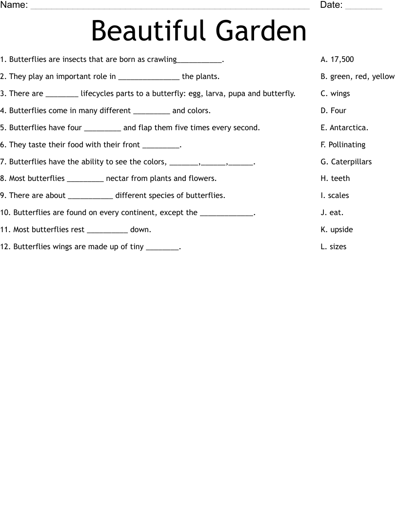 Beautiful Garden Worksheet