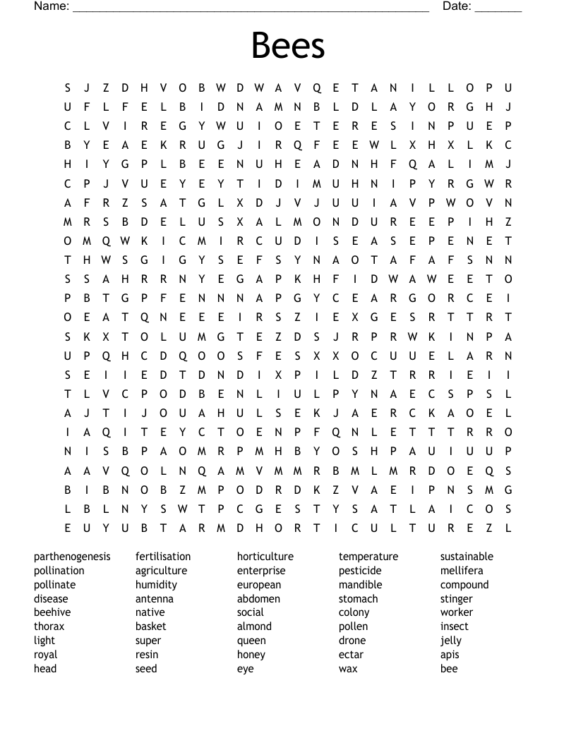 Bees Word Search