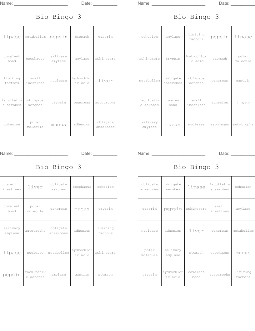 Bio Bingo 3
