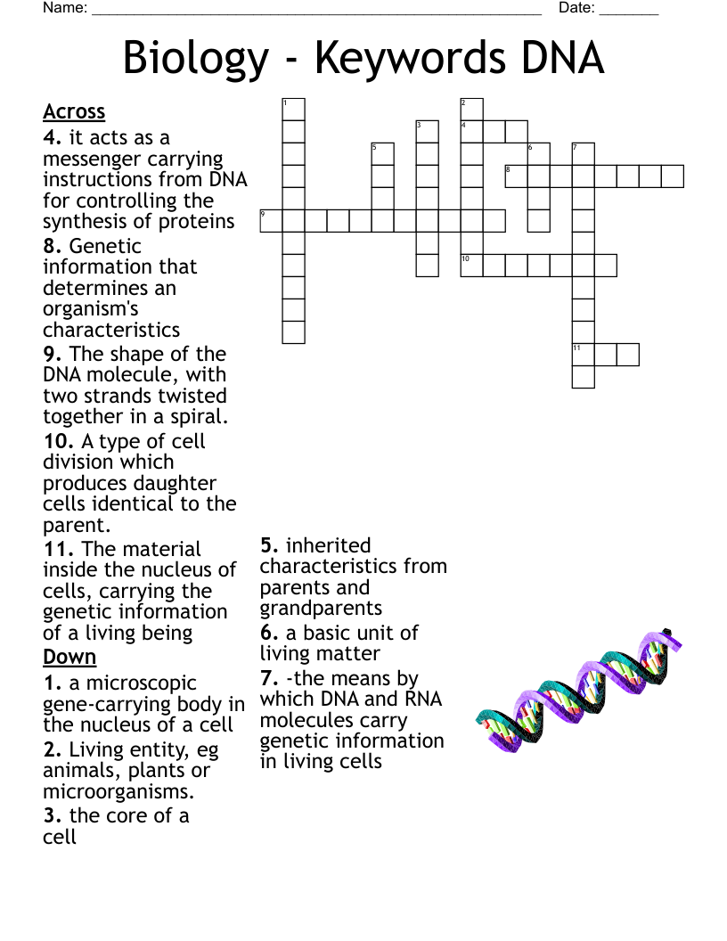 Biology - Keywords DNA Crossword
