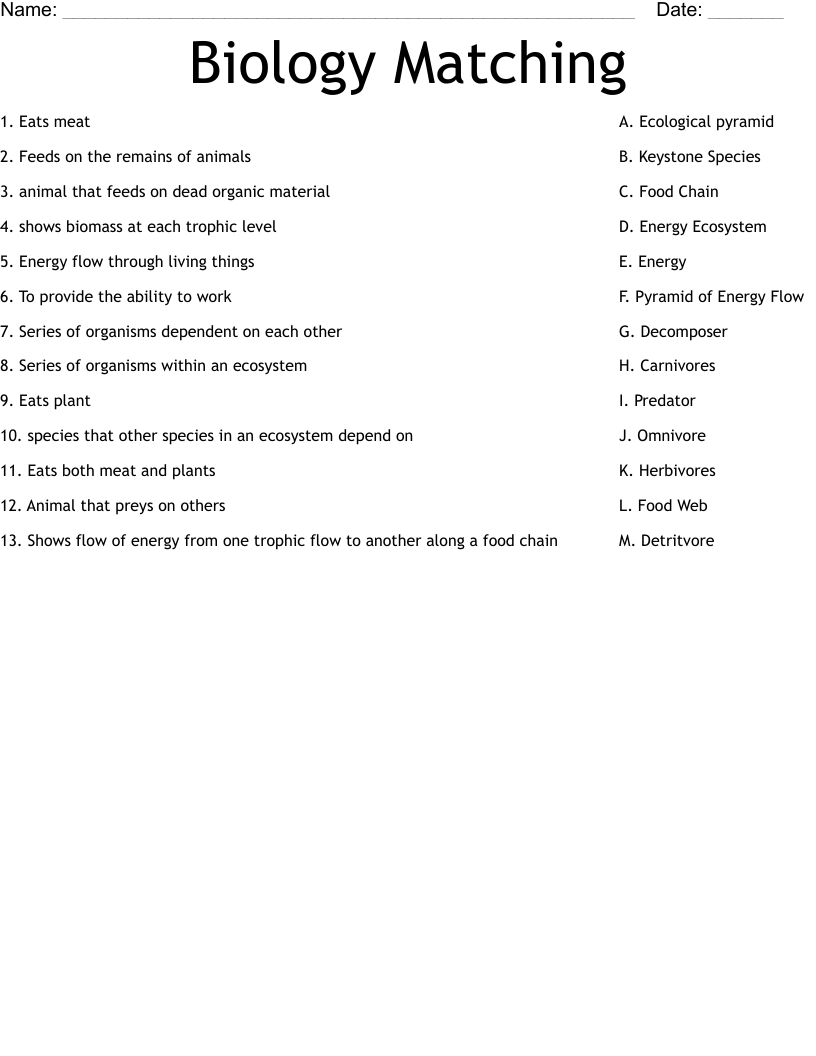 Biology Matching Worksheet