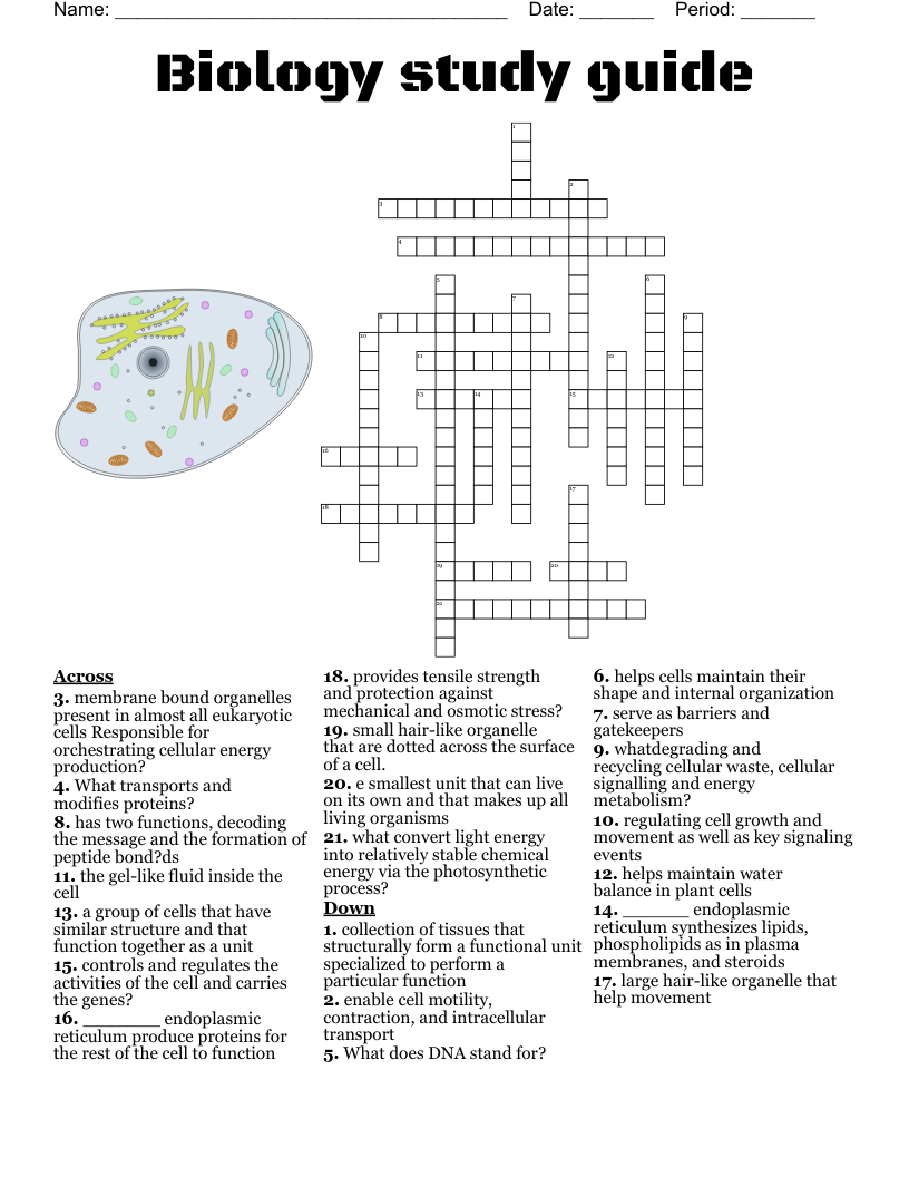 Biology study guide Crossword