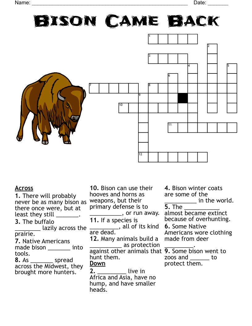 Bison Came Back  Crossword