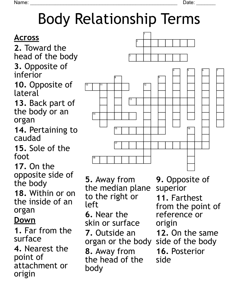 Body Relationship Terms Crossword