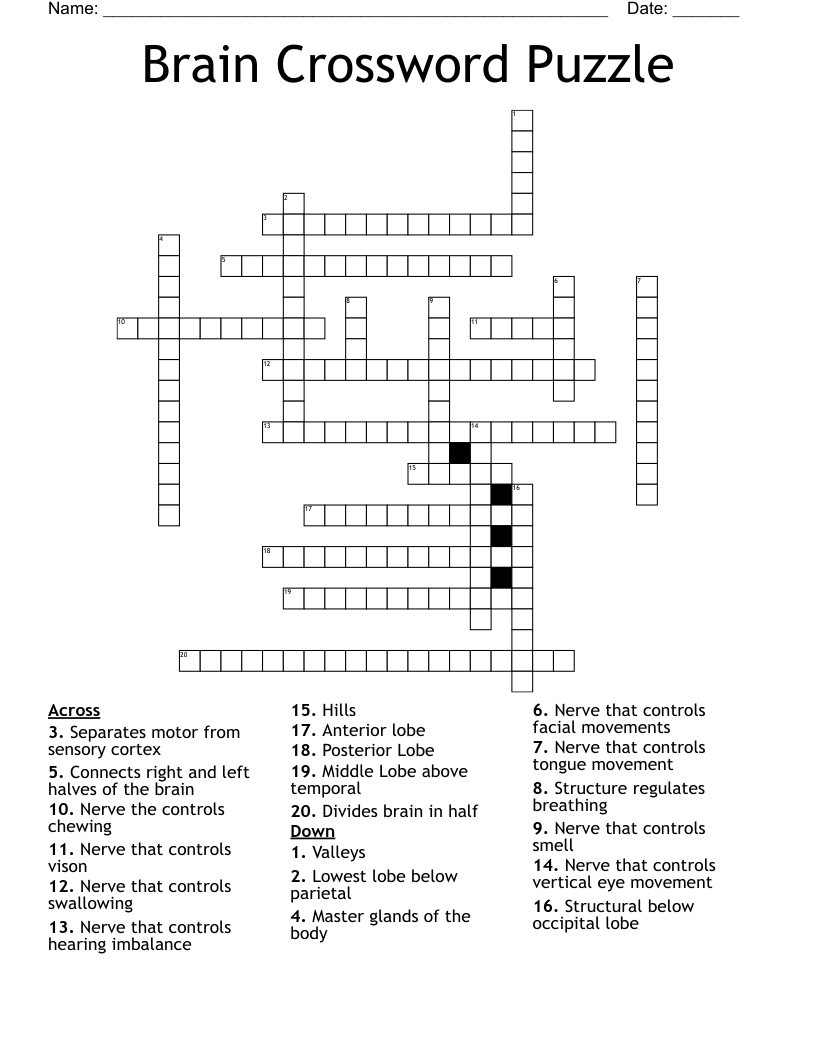 Brain Crossword Puzzle