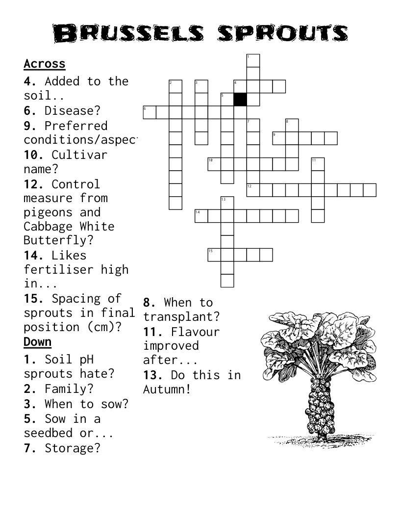 Brussels sprouts Crossword