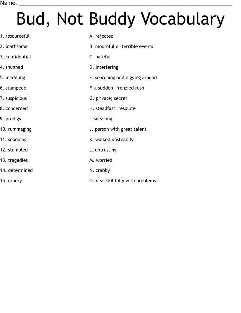Bud, Not Buddy Vocabulary Worksheet