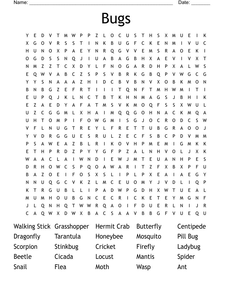 Bugs Word Search