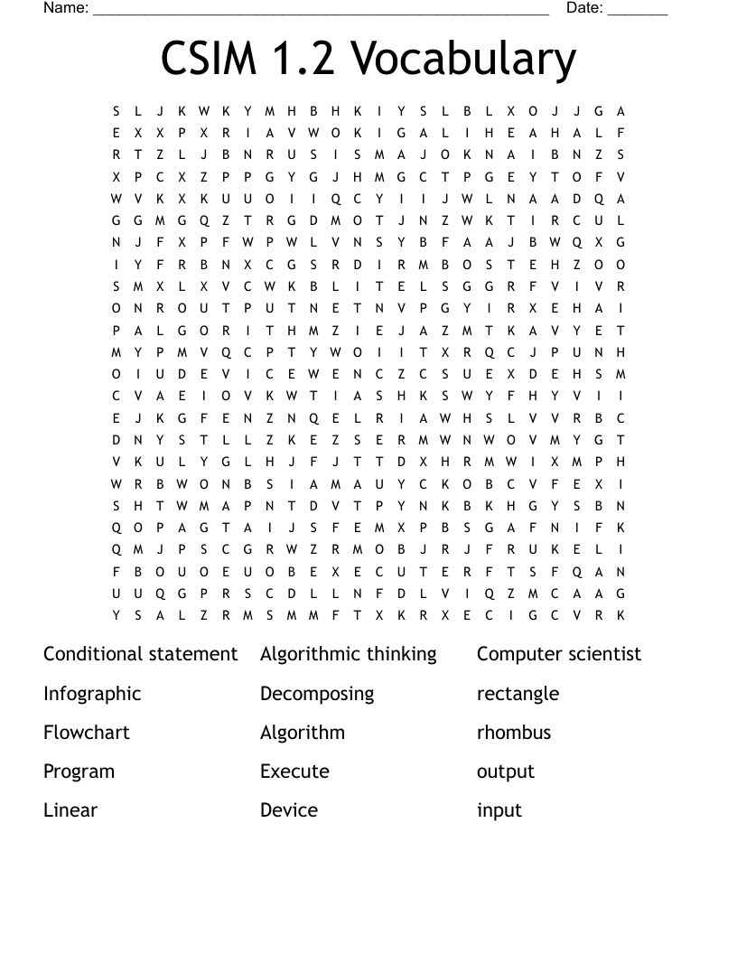 CSIM 1.2 Vocabulary Word Search
