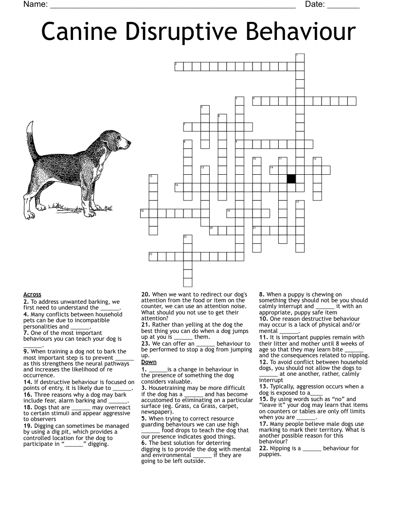 Canine Disruptive Behaviour Crossword
