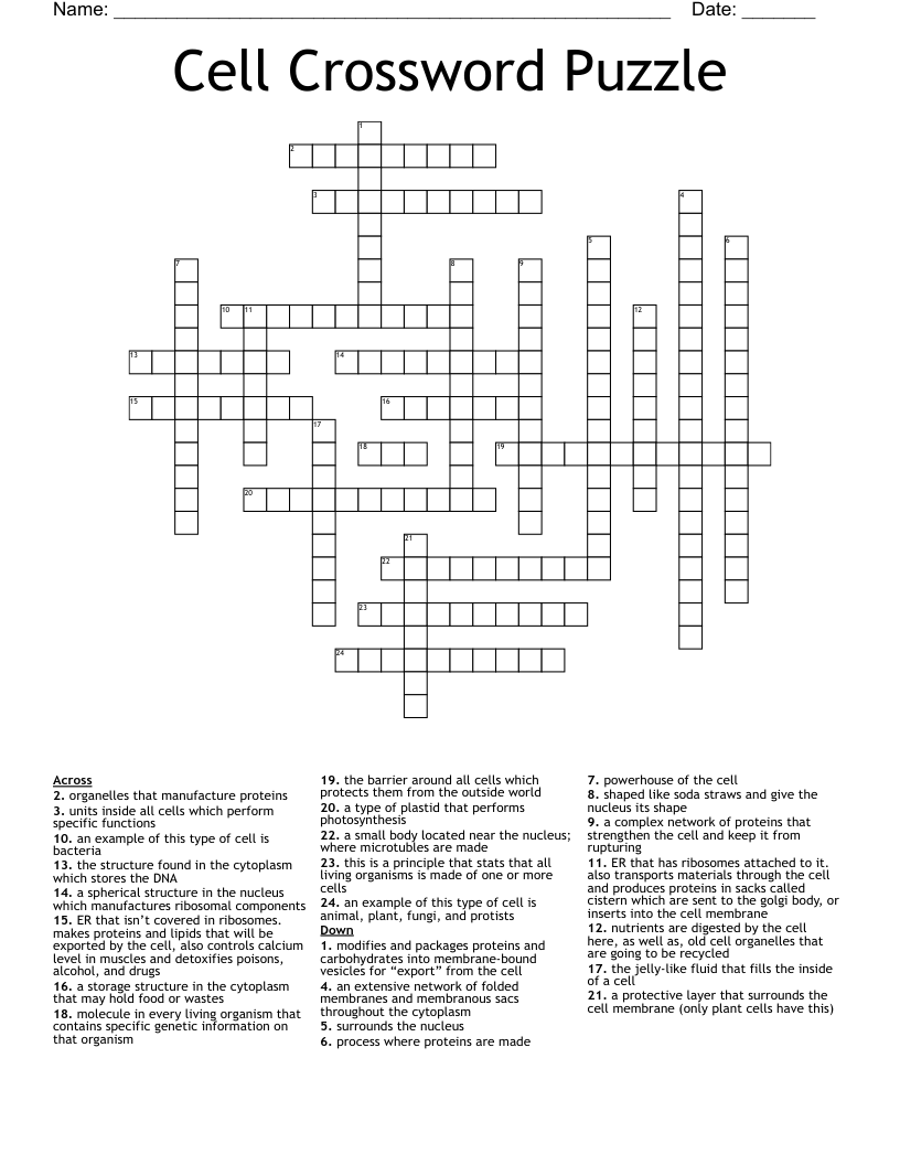 Cell Crossword Puzzle