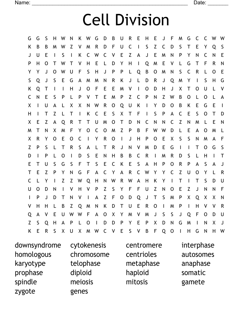 Cell Division Word Search