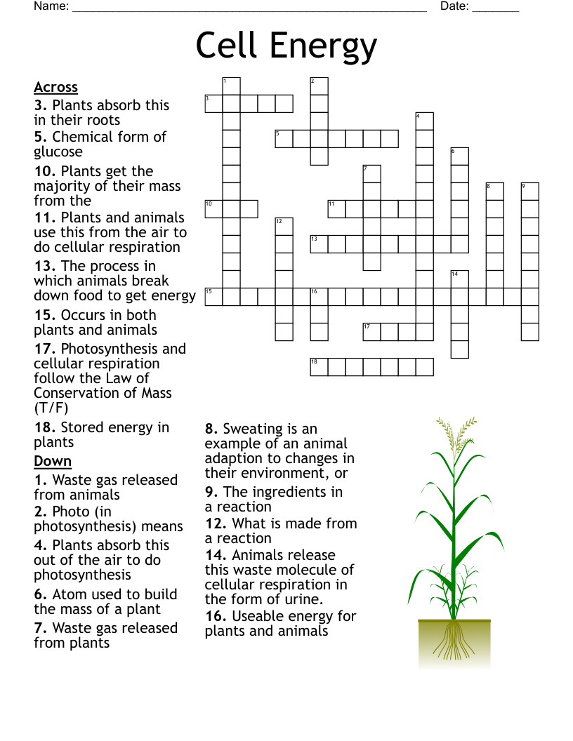Cell Energy Crossword