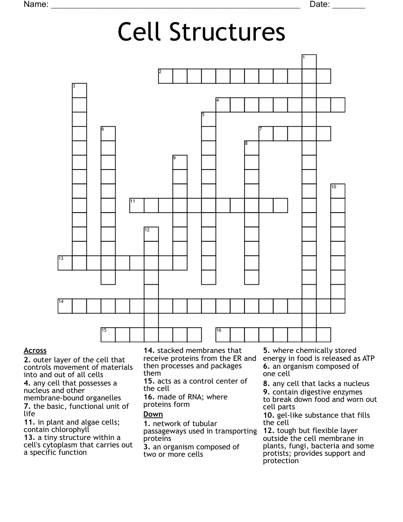 Cell Structures Crossword