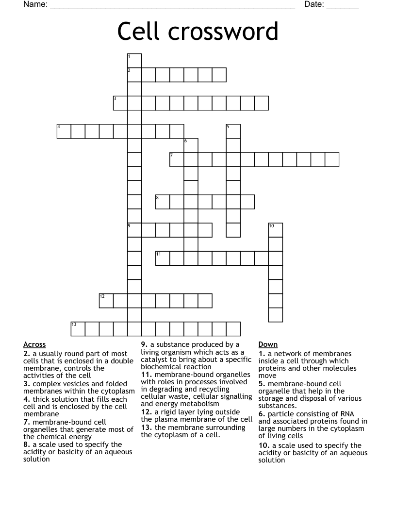 Cell crossword