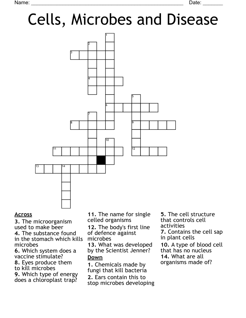 Cells, Microbes and Disease Crossword