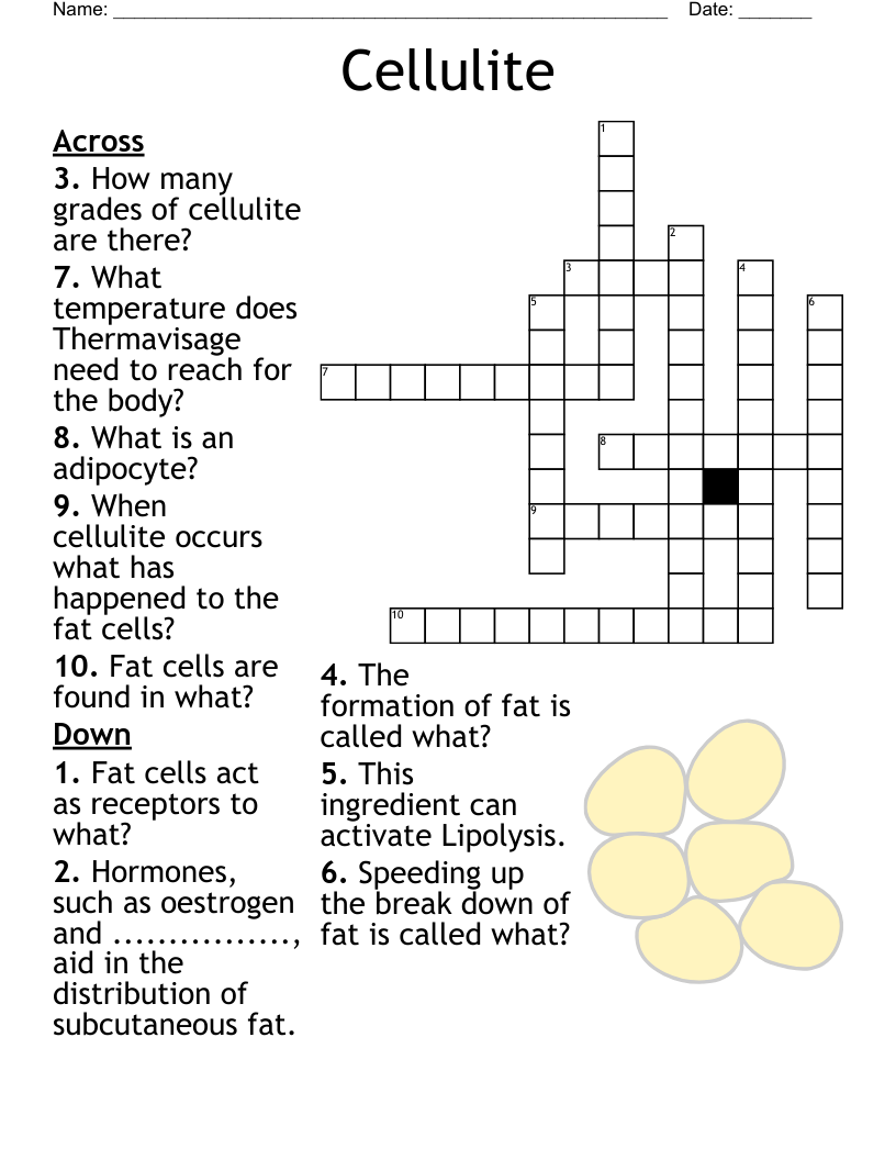 Cellulite  Crossword