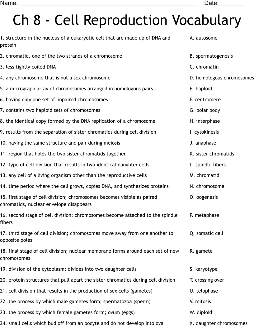 Ch 8 - Cell Reproduction Vocabulary Worksheet