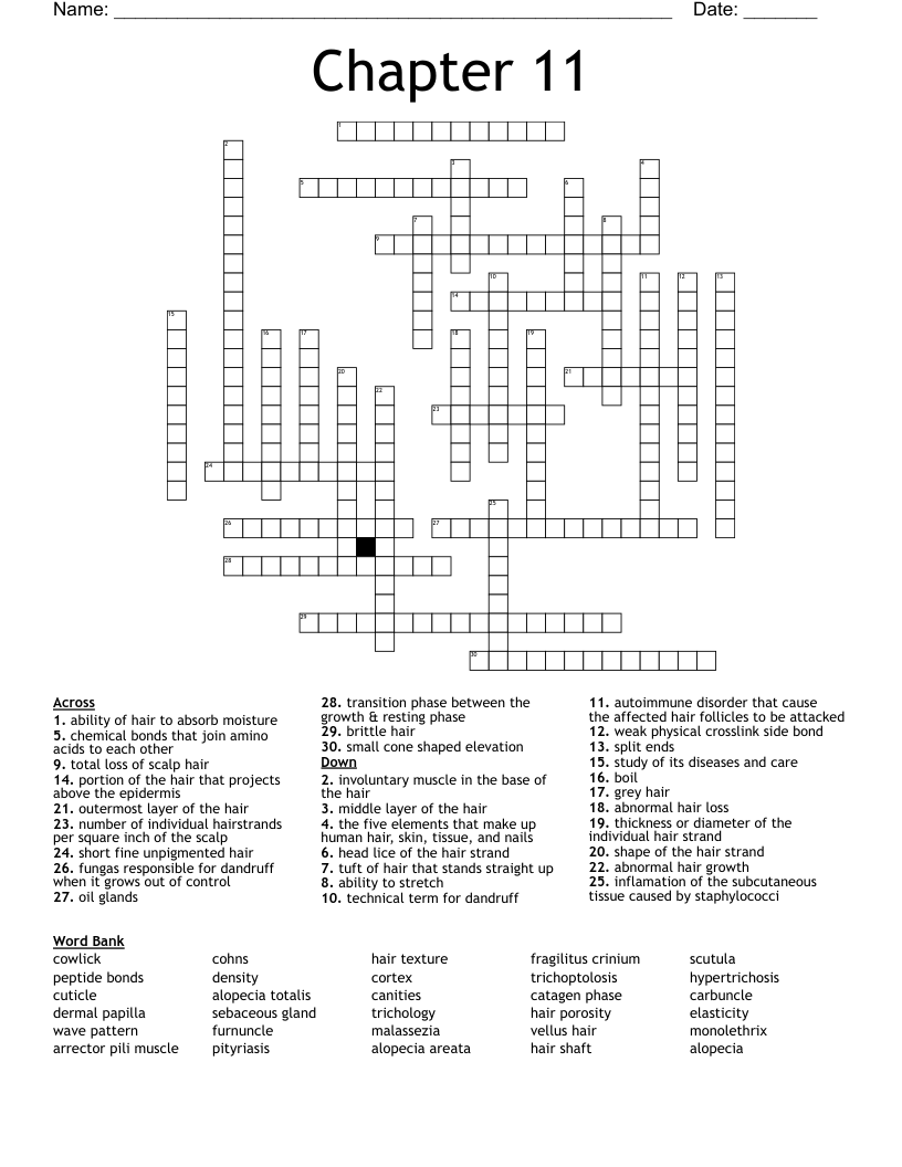 Chapter 11 Crossword