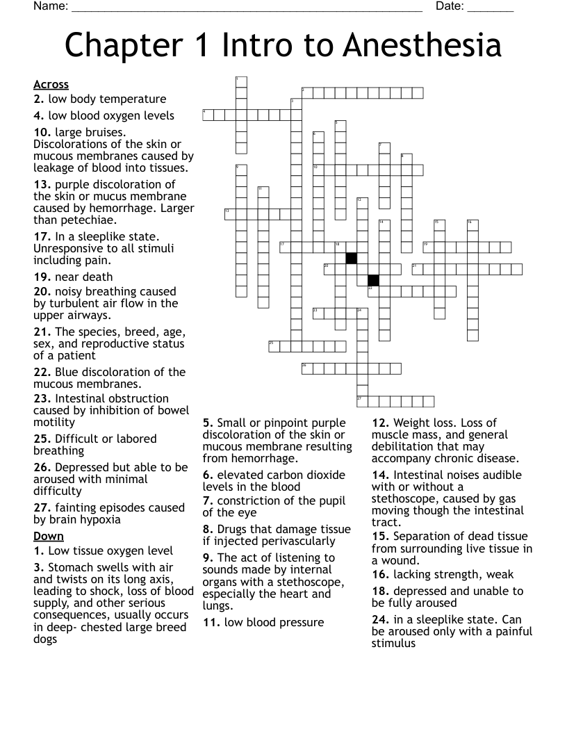 Chapter 1 Intro to Anesthesia  Crossword