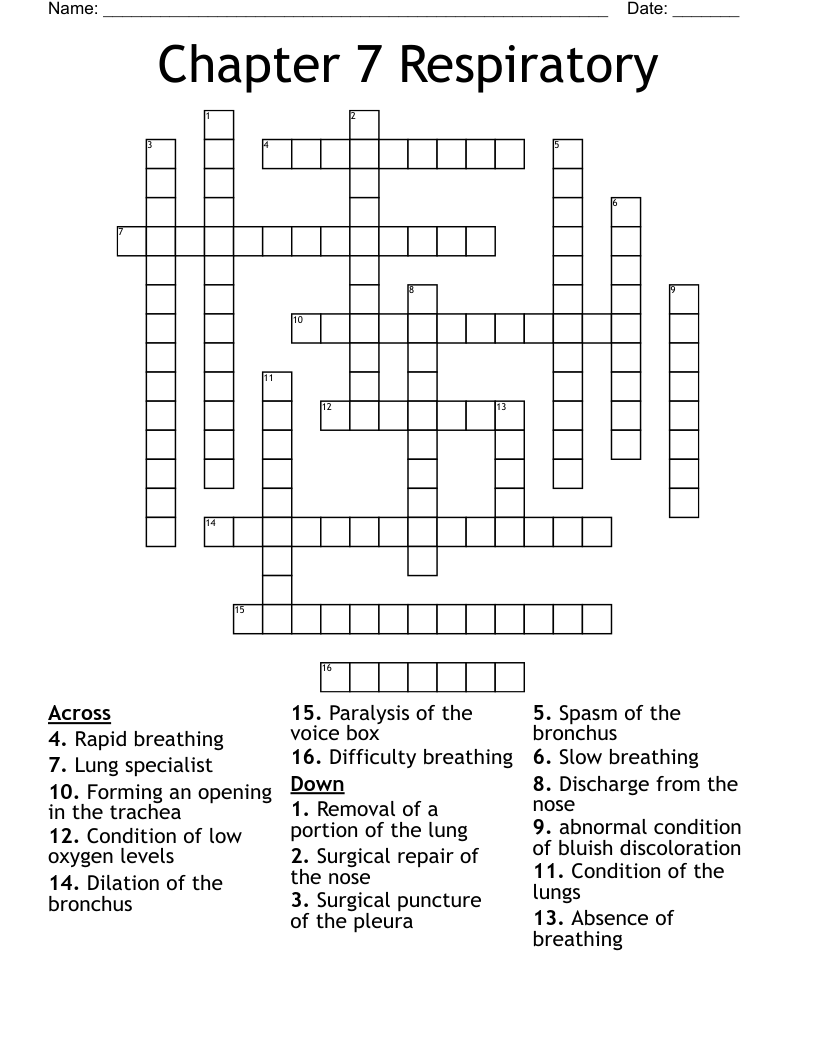 Chapter 7 Respiratory  Crossword
