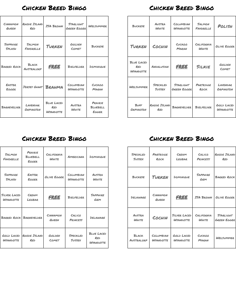 Chicken Breed Bingo