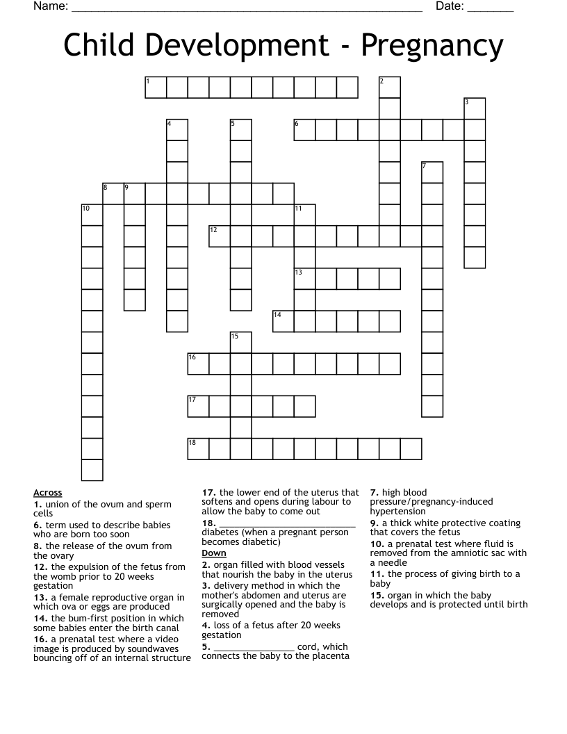 Child Development - Pregnancy  Crossword