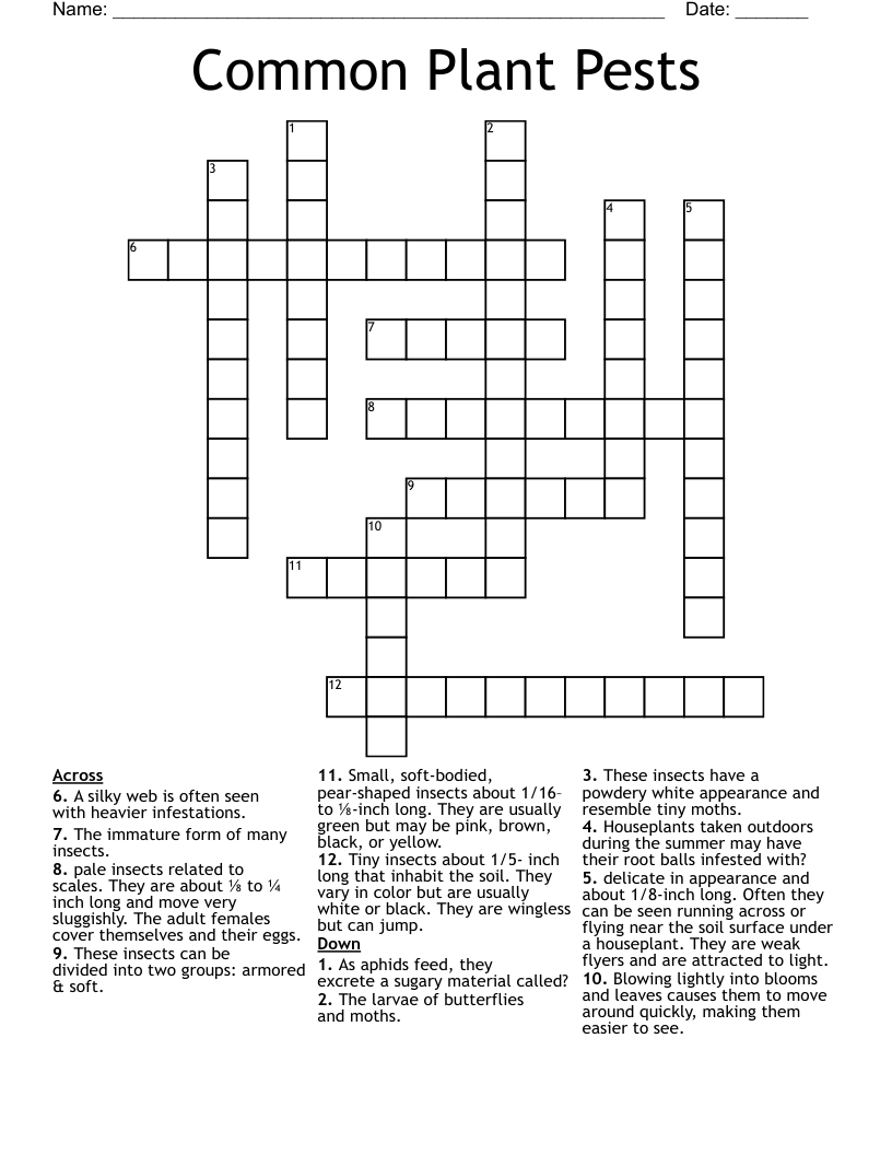 Common Plant Pests Crossword
