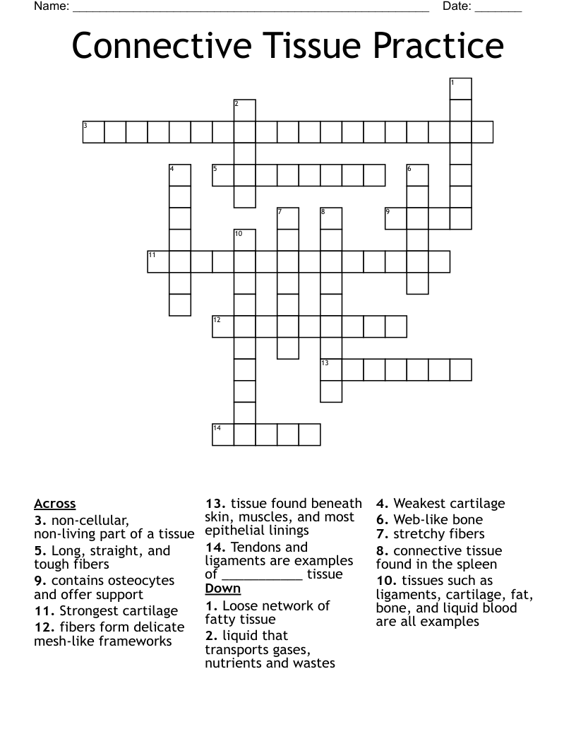 Connective Tissue Practice Crossword