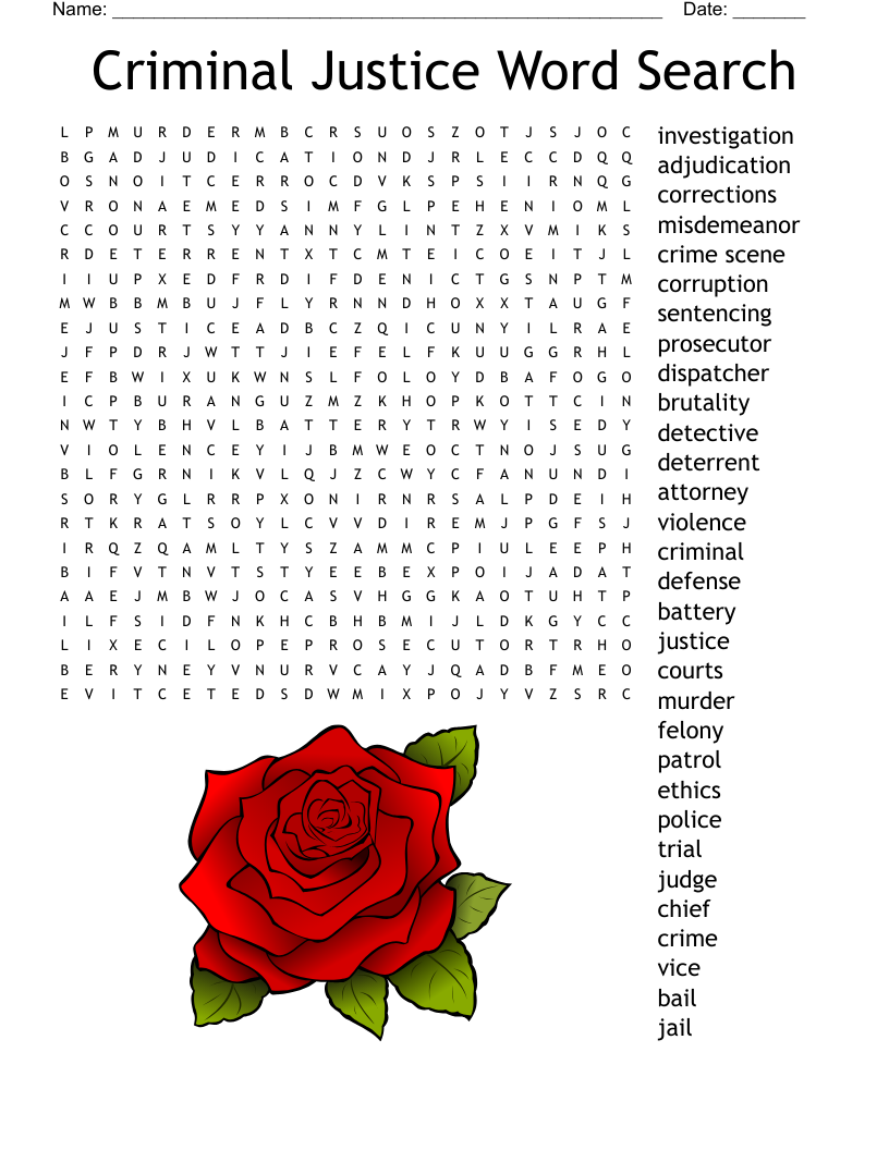Criminal Justice Word Search