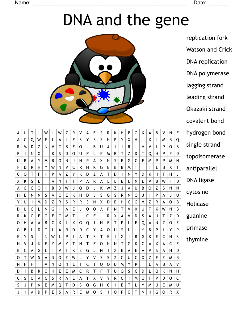 DNA and the gene  Word Search