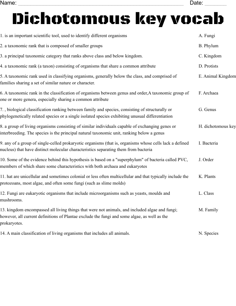 Dichotomous key vocab Worksheet
