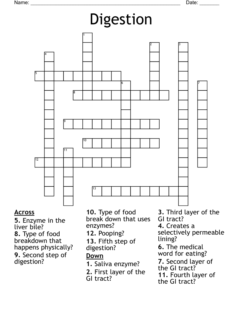 Digestion Crossword