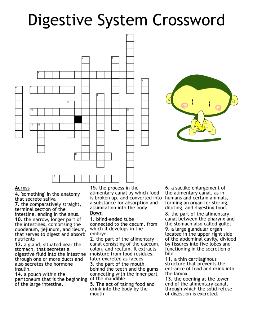 Digestive System Crossword