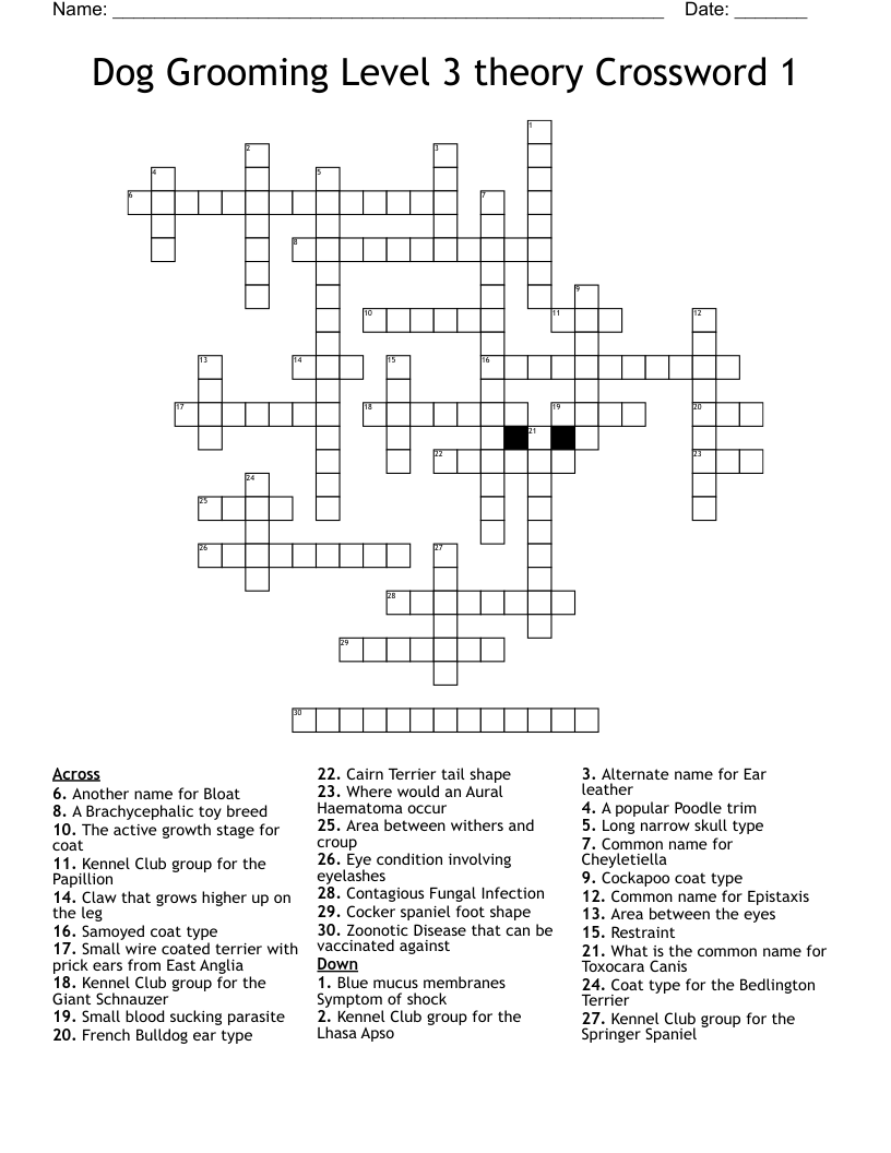 Dog Grooming Level 3 theory Crossword 1