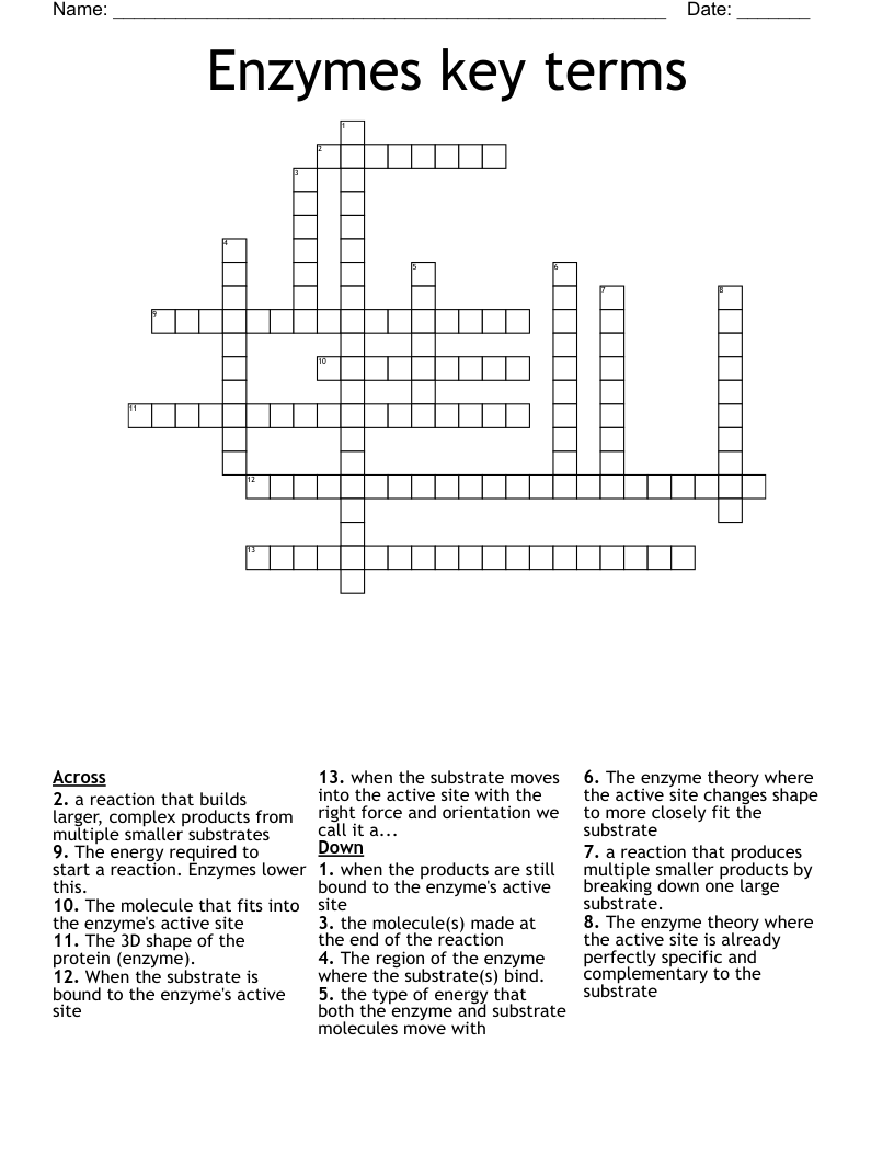 Enzymes key terms Crossword