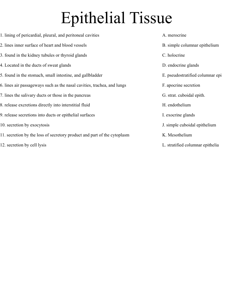Epithelial Tissue Worksheet