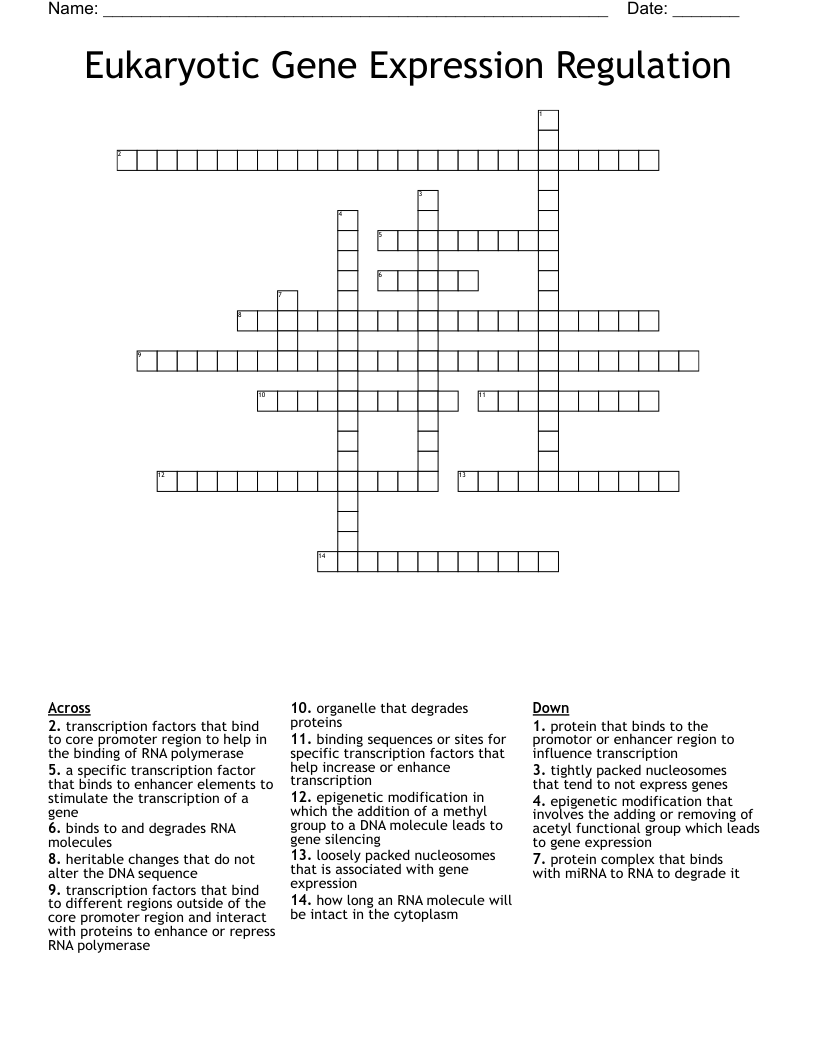 Eukaryotic Gene Expression Regulation Crossword